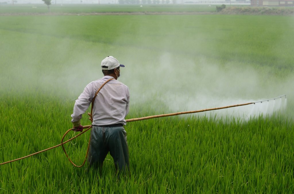 Photo of a worker spraying pesticide in a field