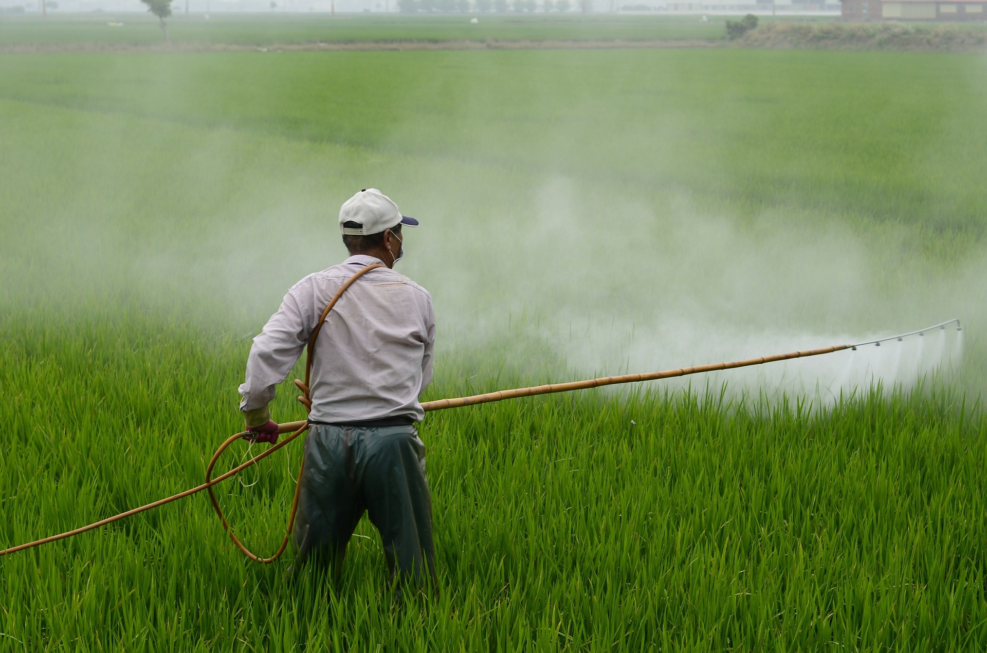 Monsanto to Pay $250 Million in Damages in Pesticide Drift Trial