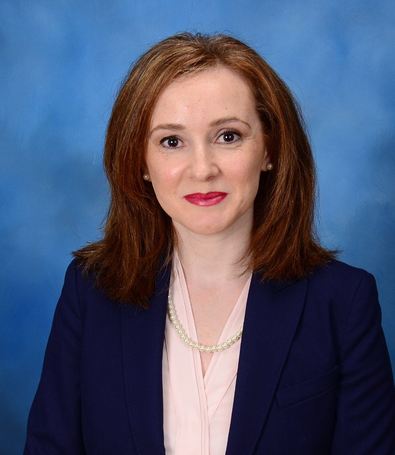 Dhespina_Poreci Photo of Attorney Brad Mitchell